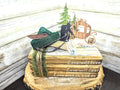 Disney Robinhood decor, Disney wedding couple decor, Disney wedding centerpiece Robinhood and maid Marion table decor, Disney gift